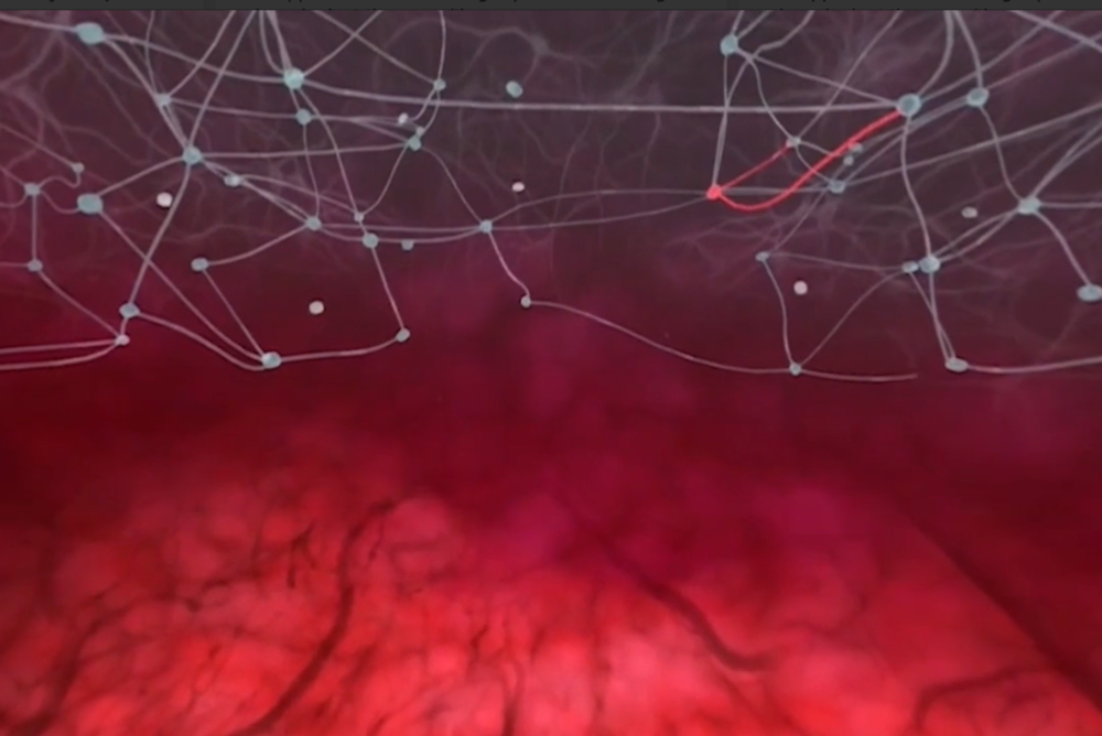 A still from the Cornerstone VR FASD virtual reality film. It shows brain connections, and a unborn babies perspective.